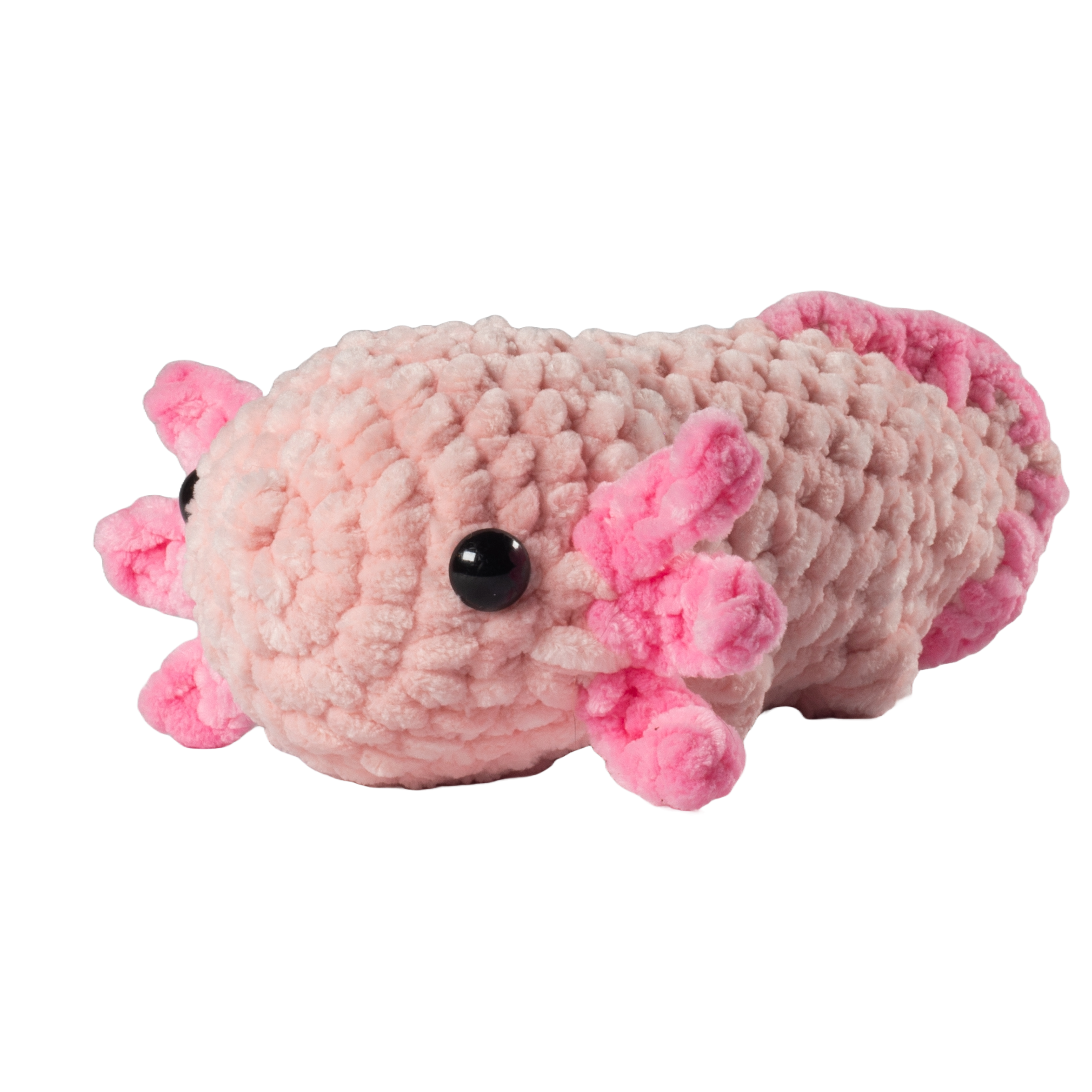 Pink Axolotl