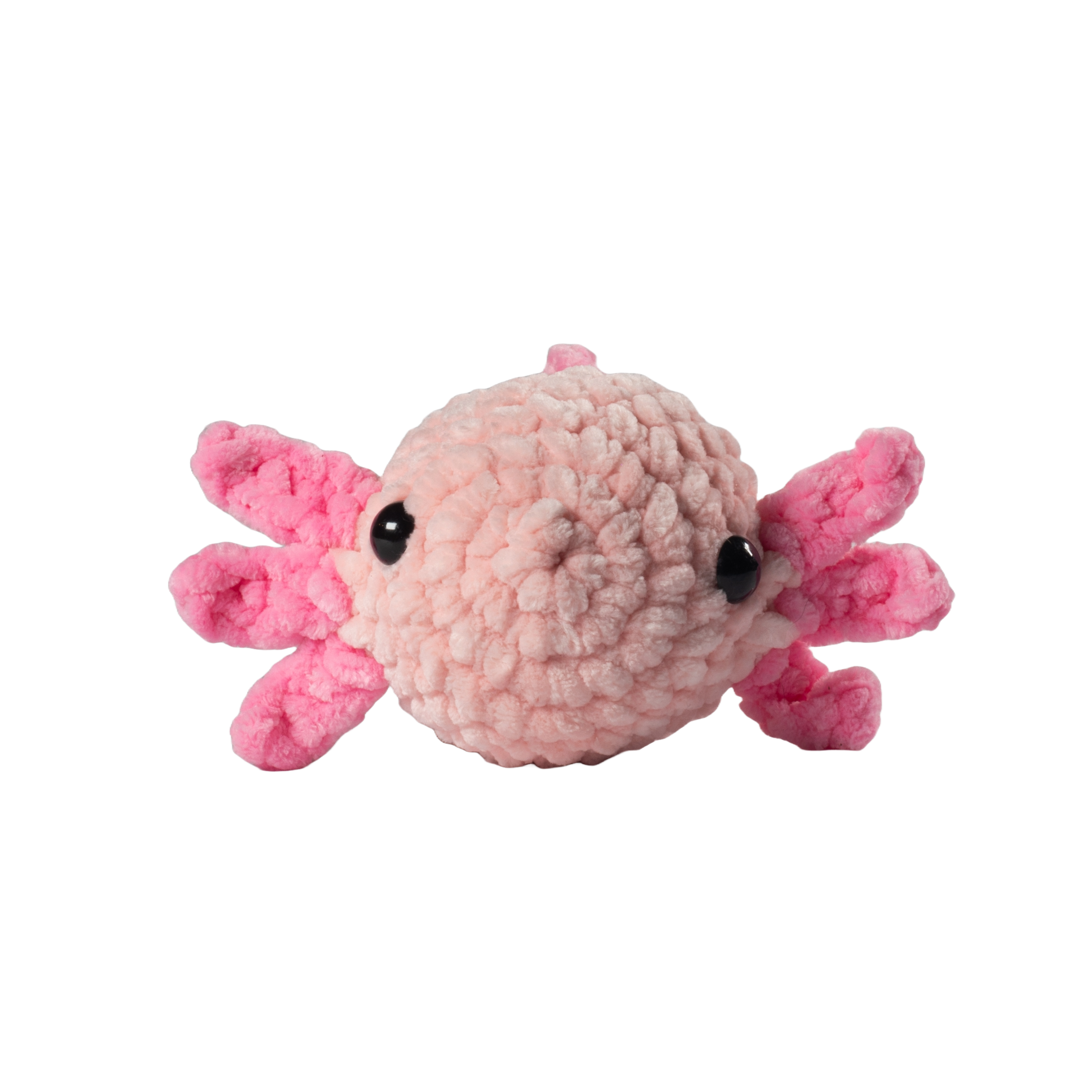 Pink Axolotl