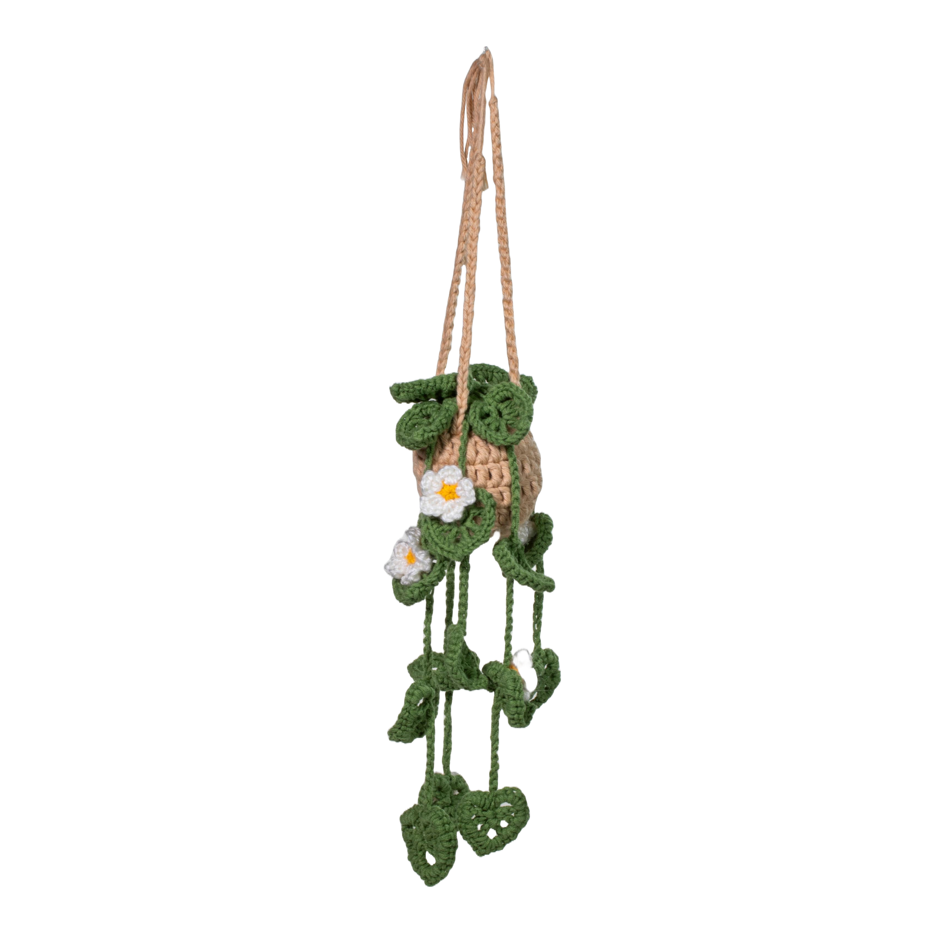 Hanging Plant- green leaves, white flowers