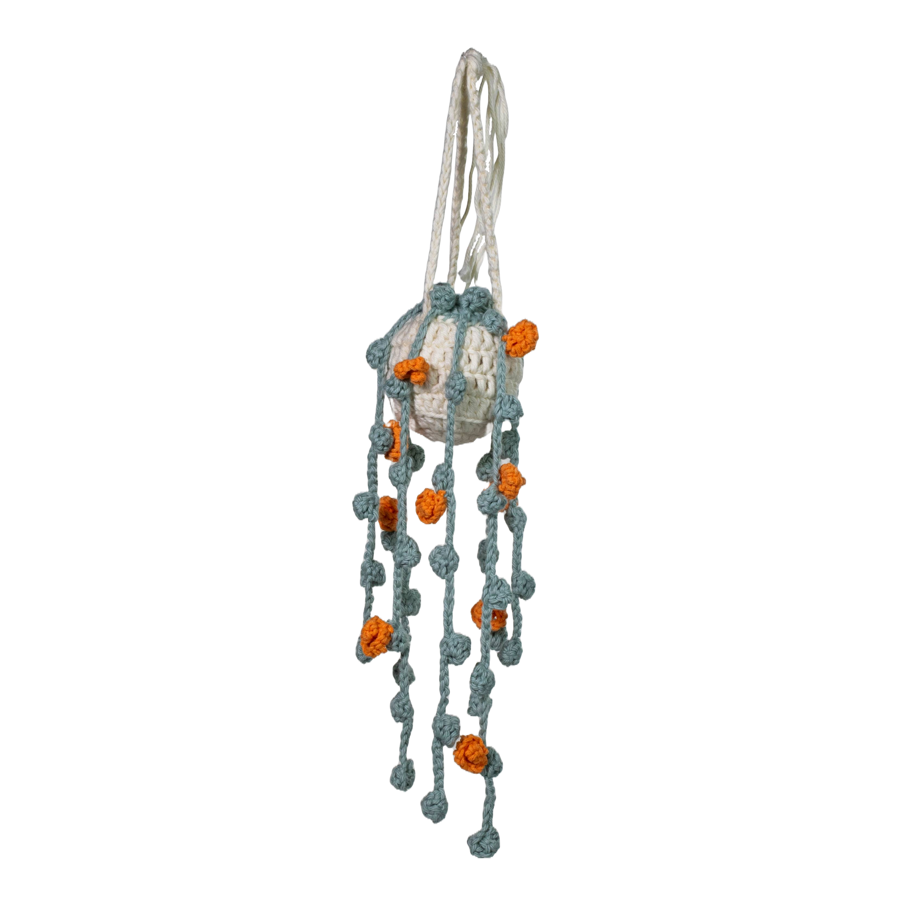 Hanging Plant- Aqua leaves, orange flowers