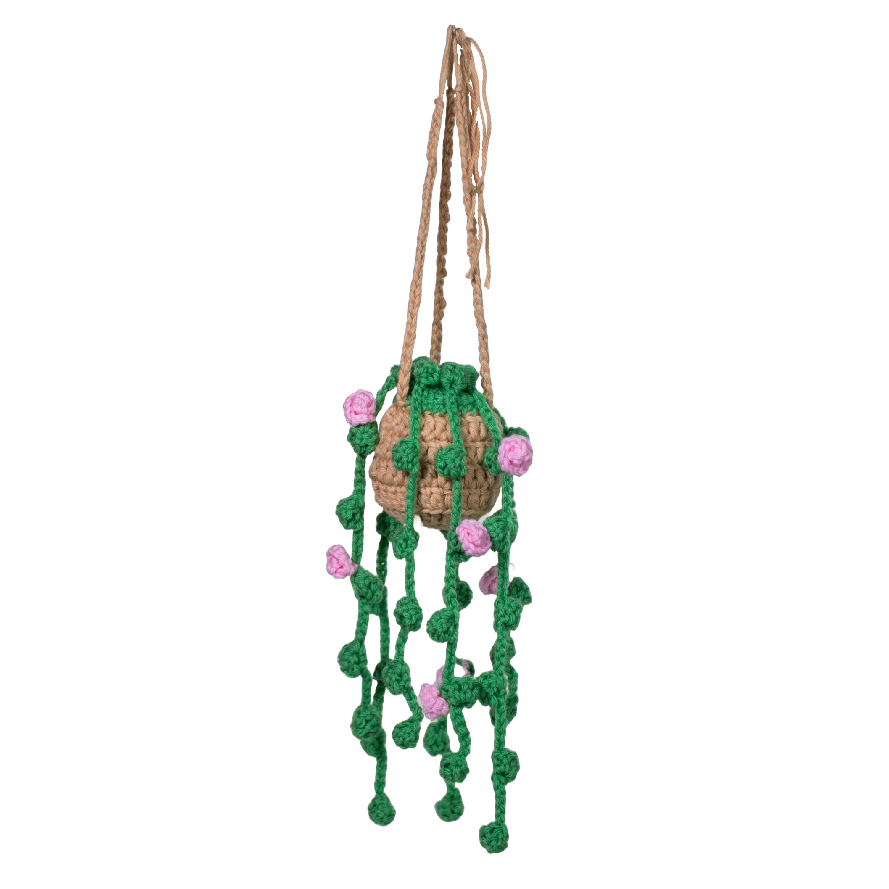 Hanging Plant, green leaves, purple flowers