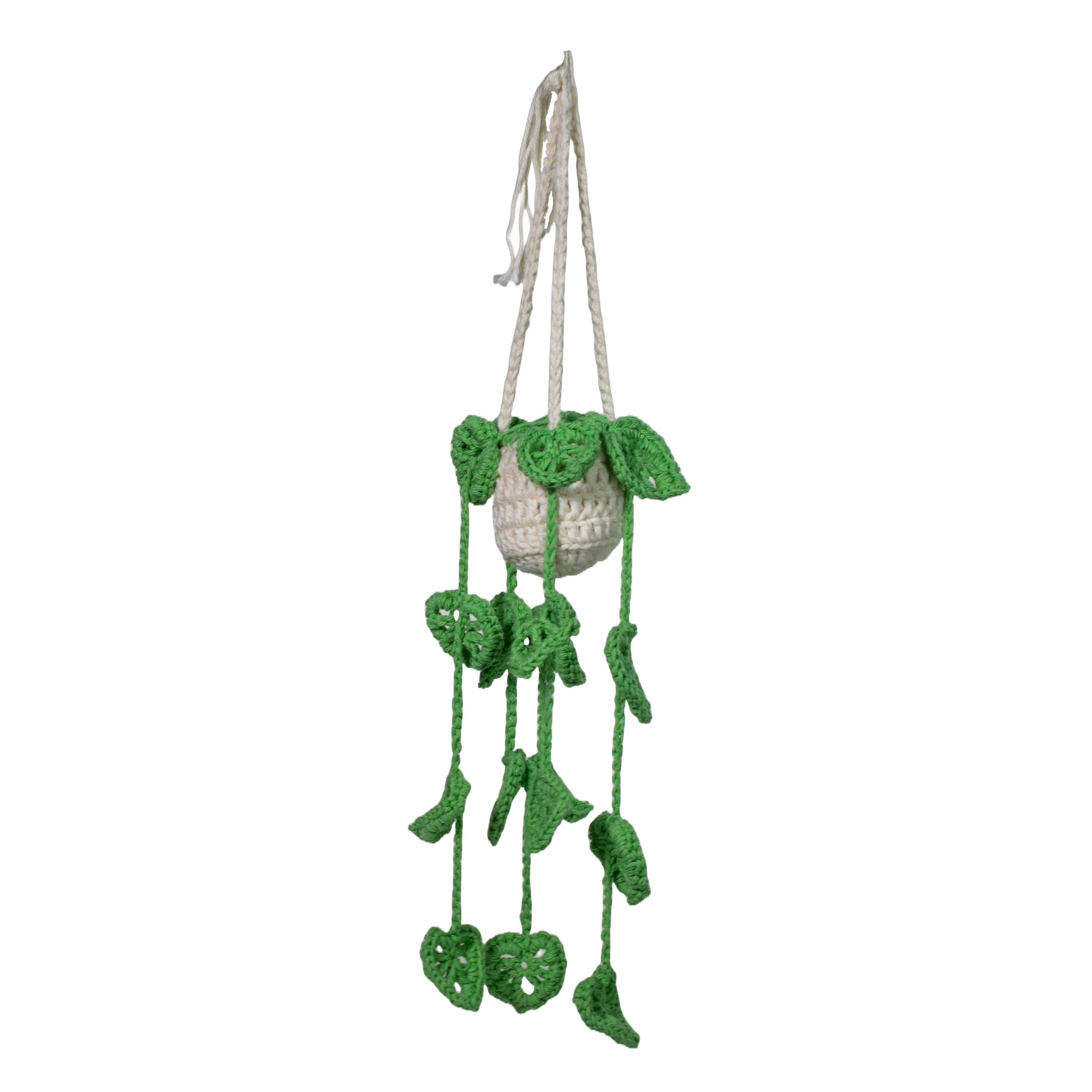 Hanging Plant- bright green leaves