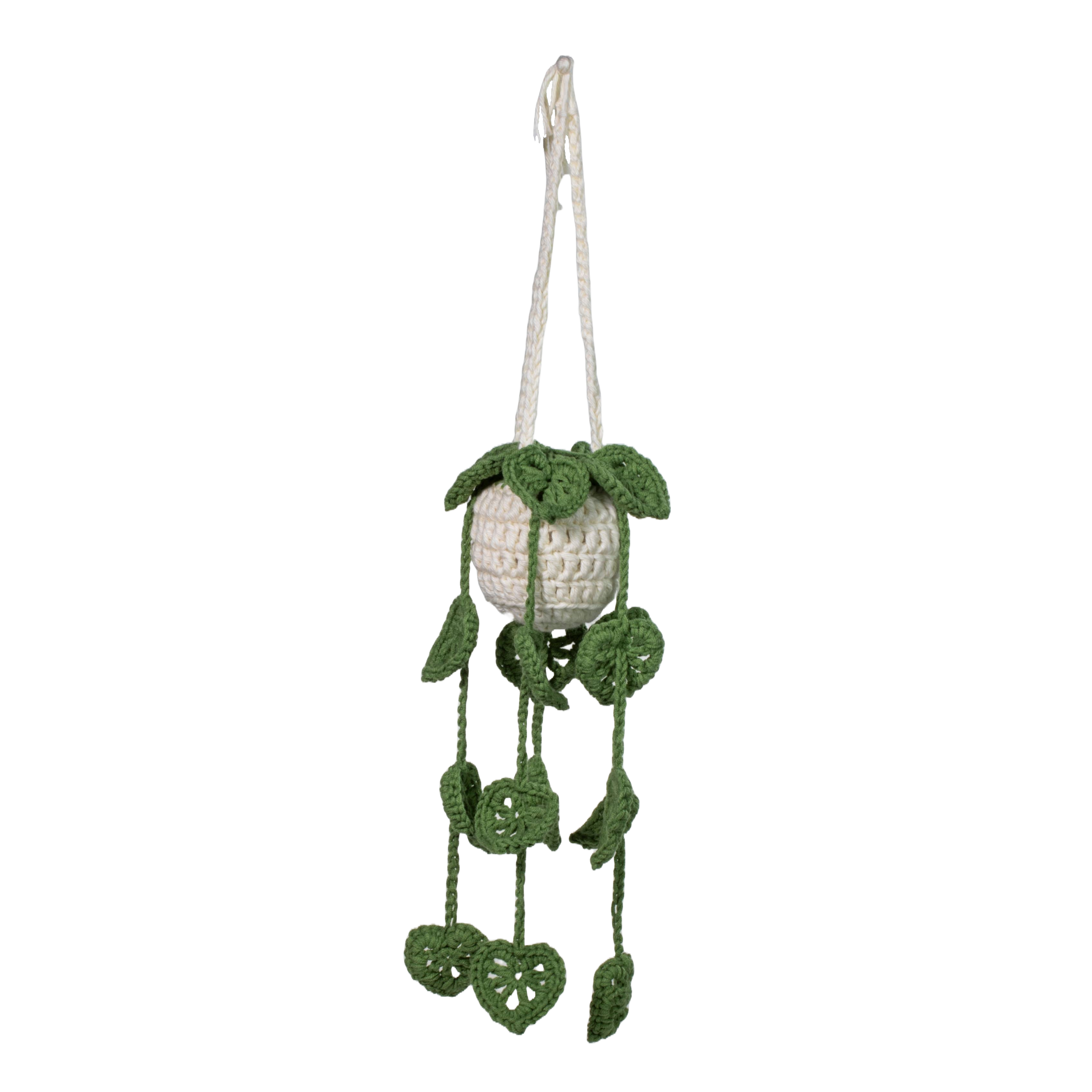 Hanging Plant- dark green leaves