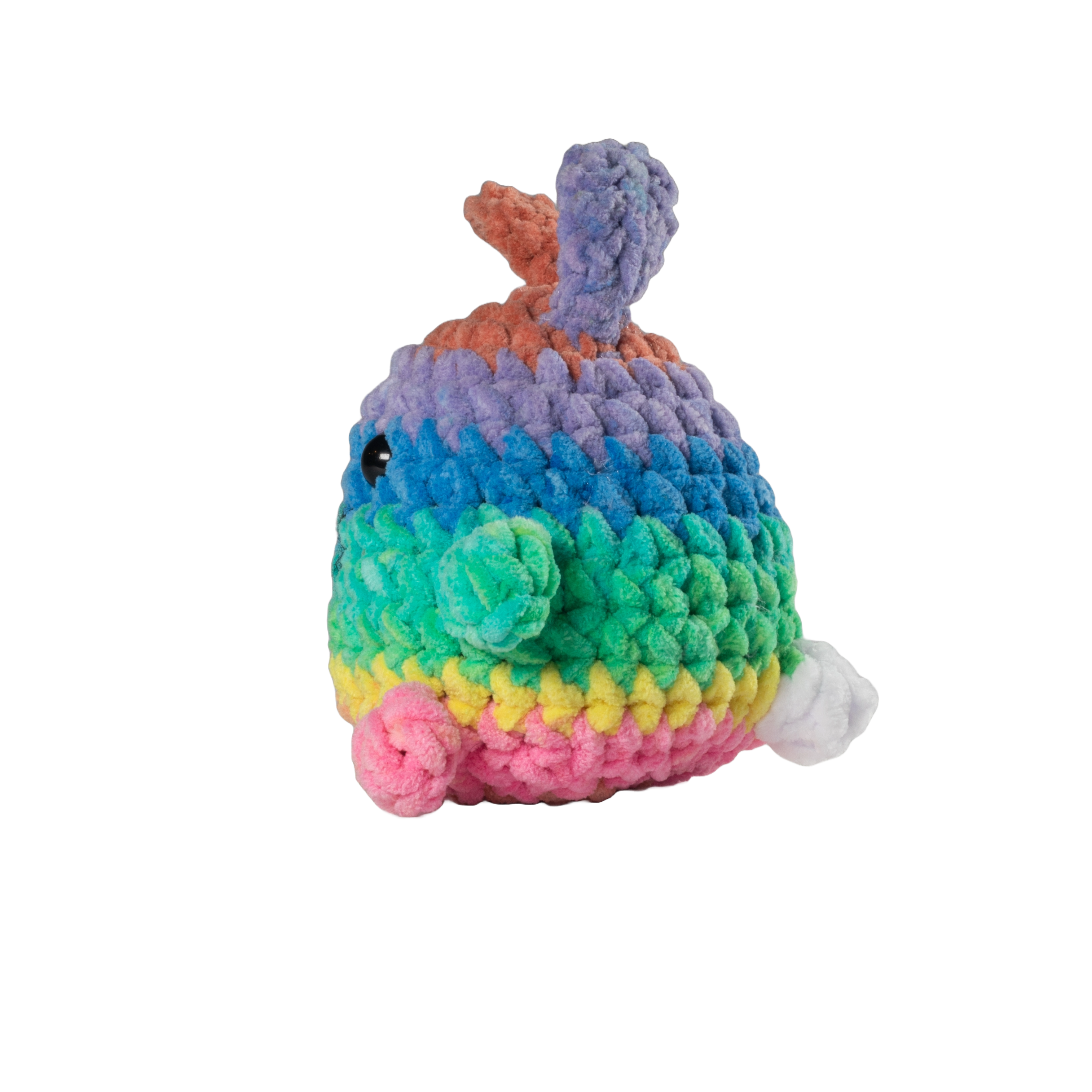 Rainbow bunny