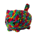 Multicolored Cat