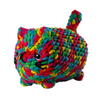 Multicolored Cat