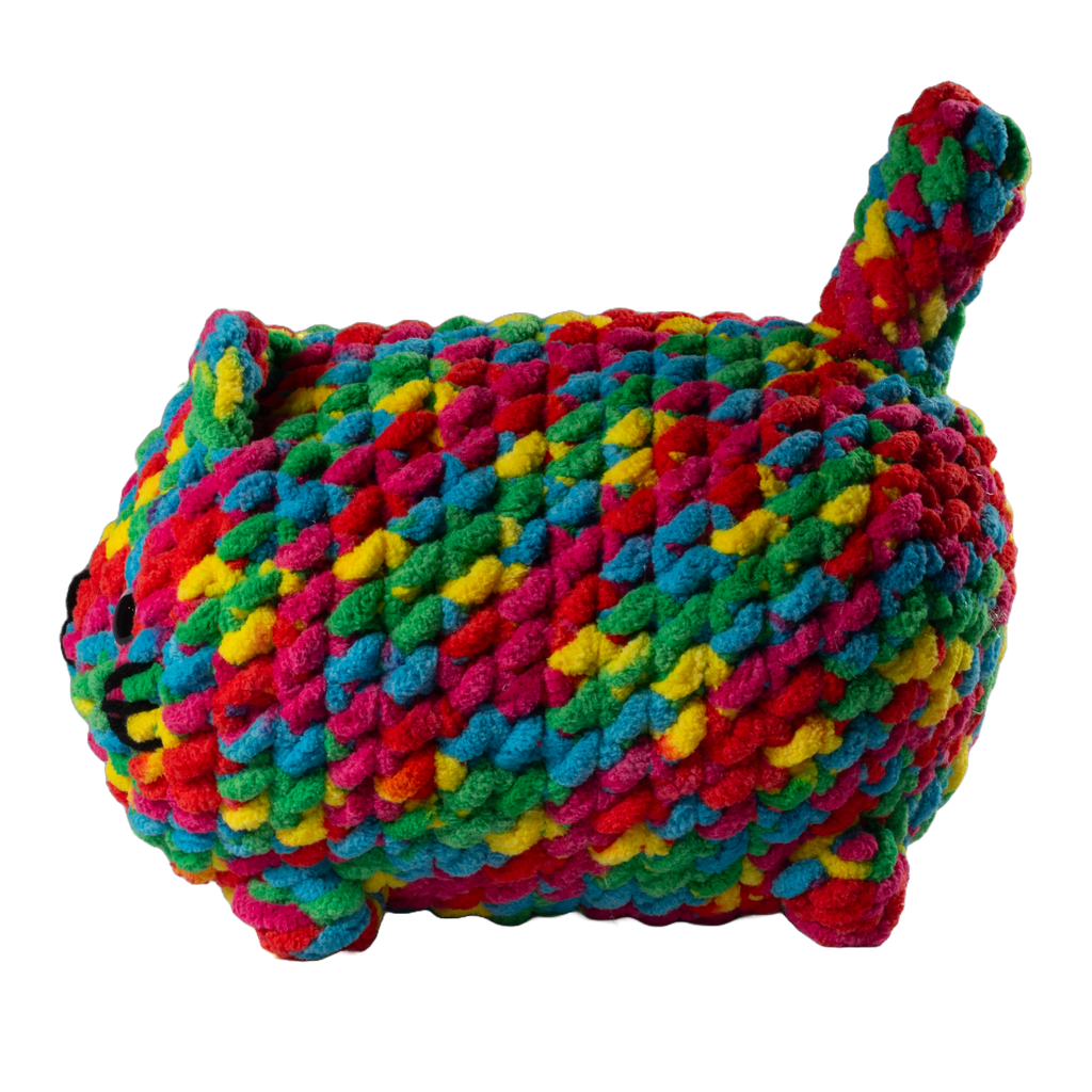 Multicolored Cat