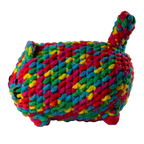Multicolored Cat
