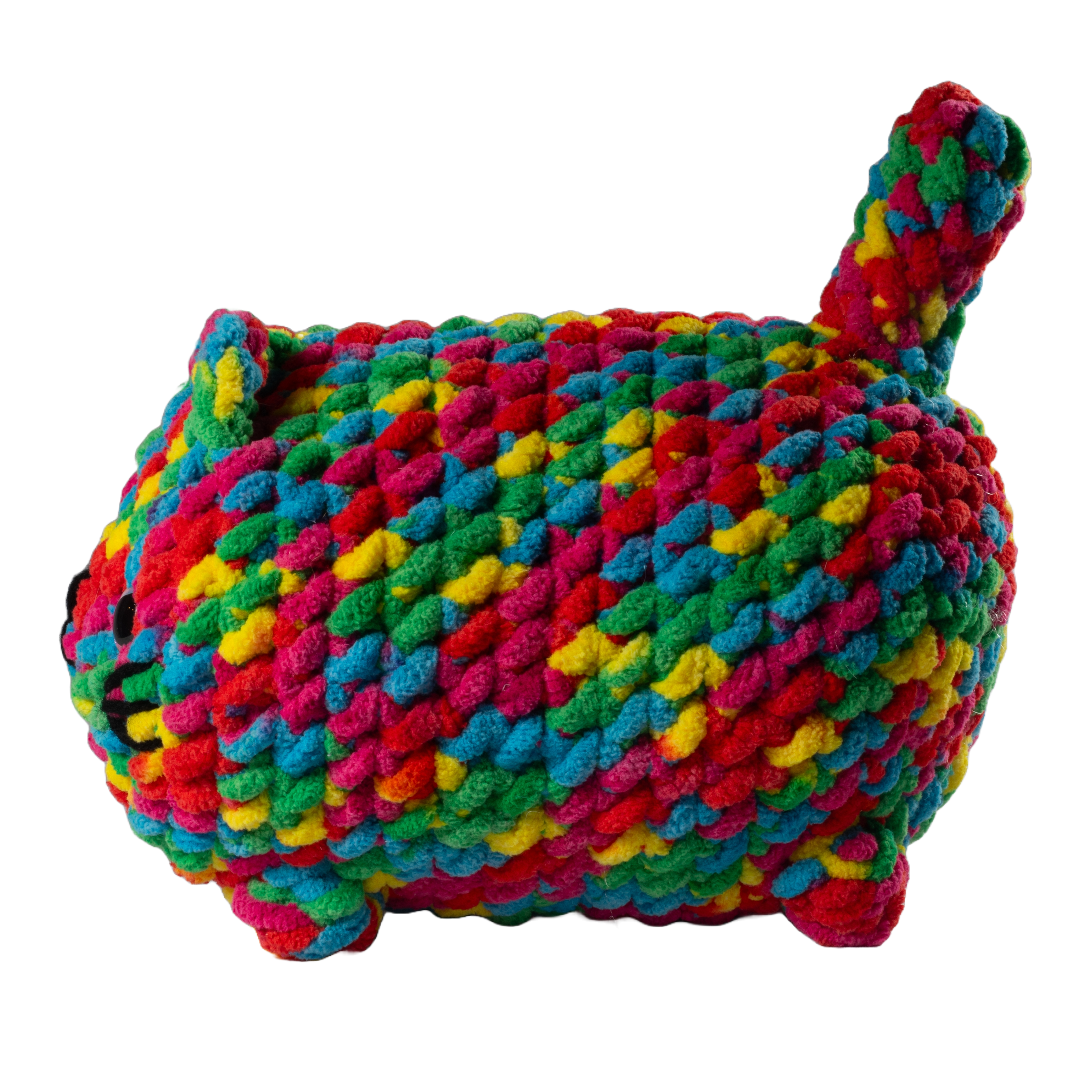 Multicolored Cat