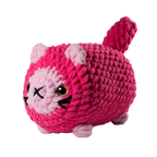 Pink Cat