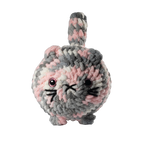 Gray and Pink Cat