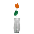 Orange Tulip Flower
