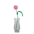 Pink Tulip Flower