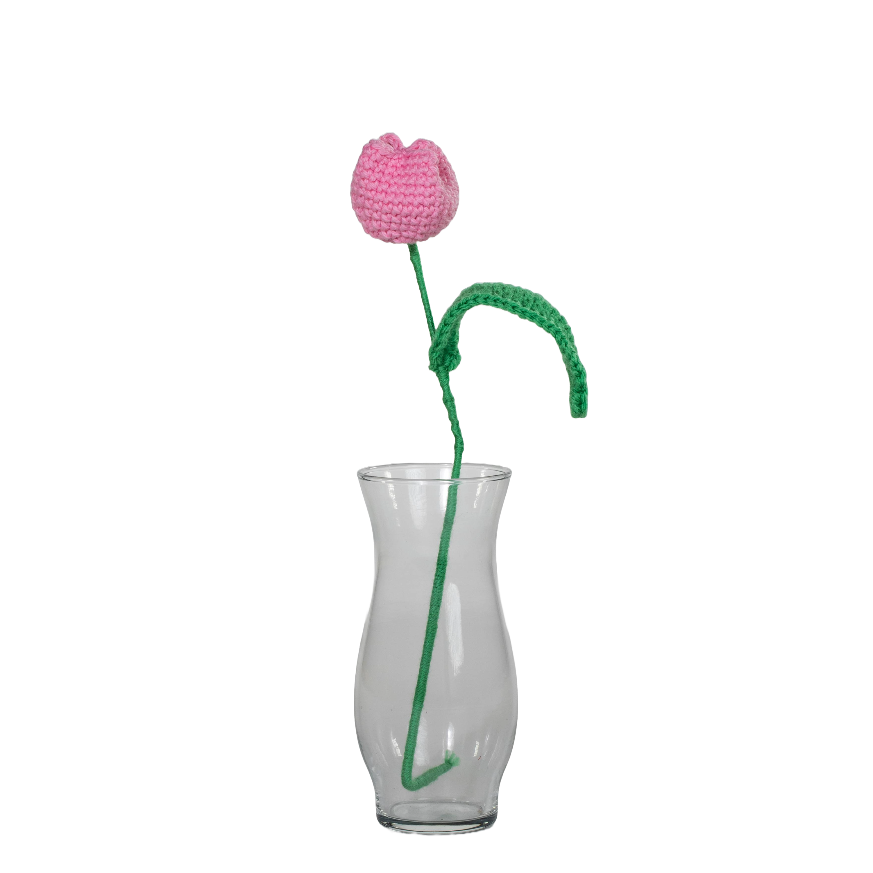 Pink Tulip Flower