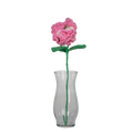 Pink Carnation Flower