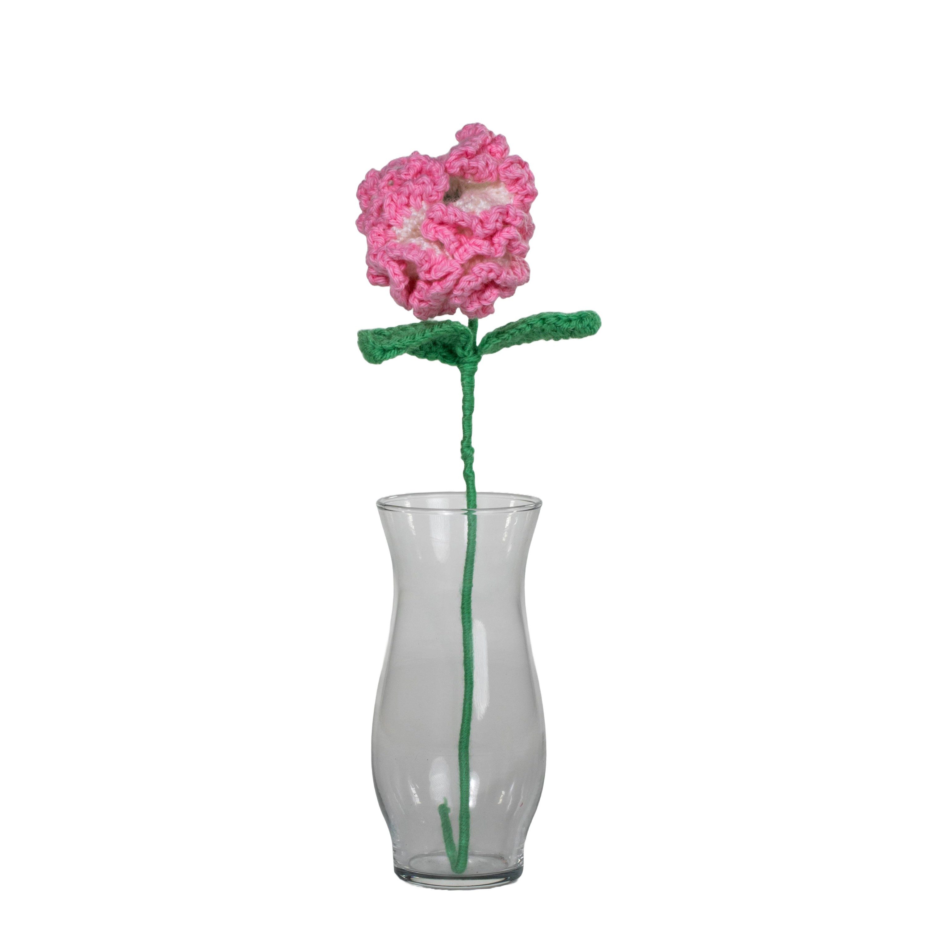 Pink Carnation Flower