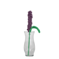 Purple Lavender Flower
