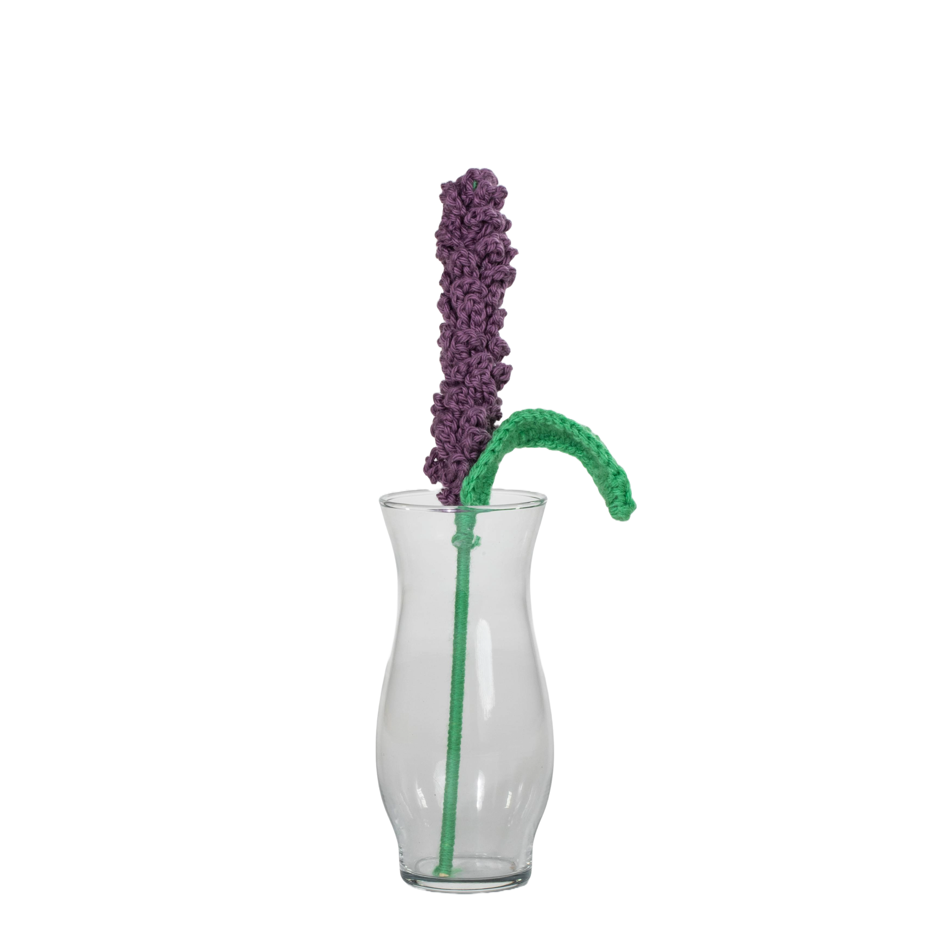 Purple Lavender Flower