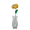 Yellow Carnation Flower