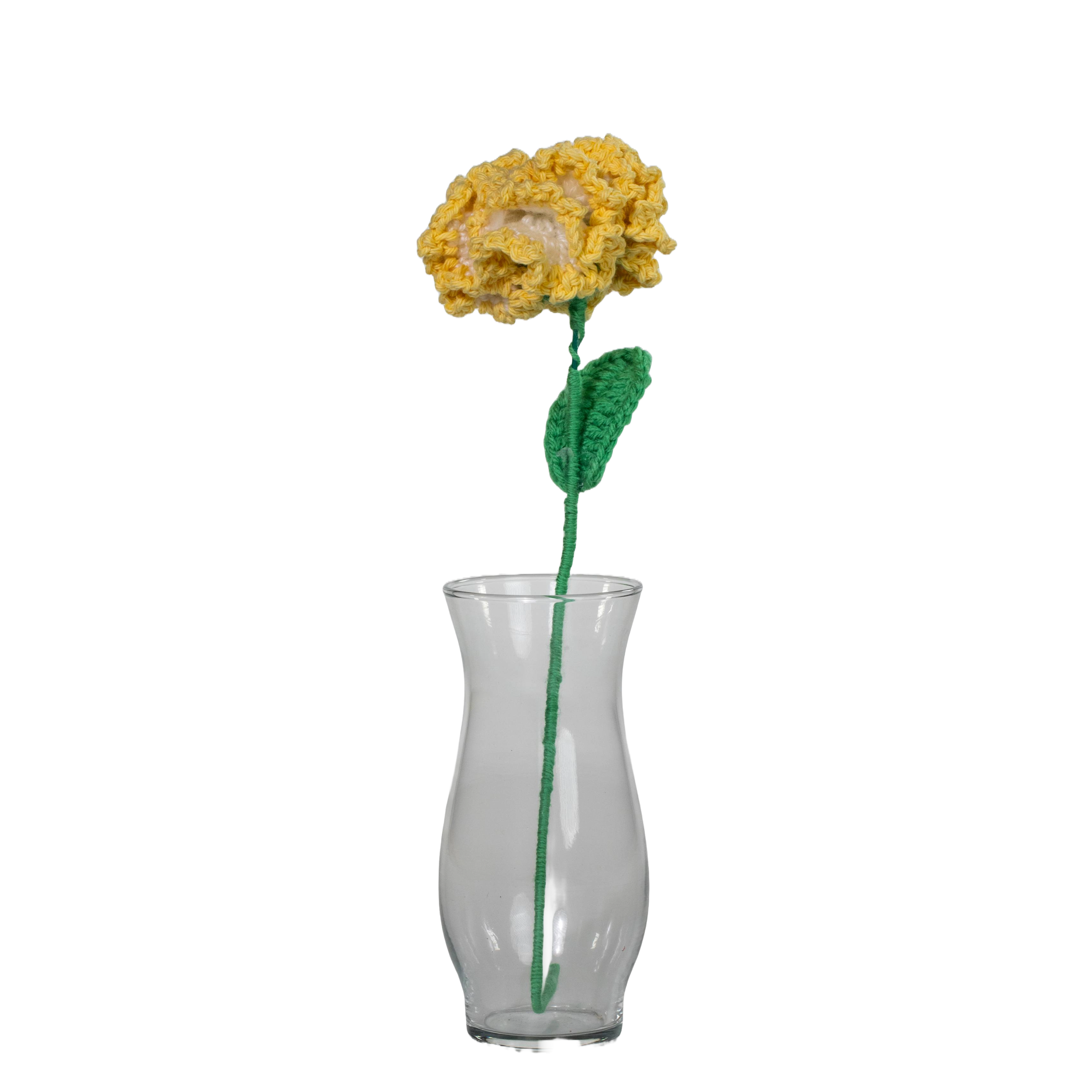 Yellow Carnation Flower
