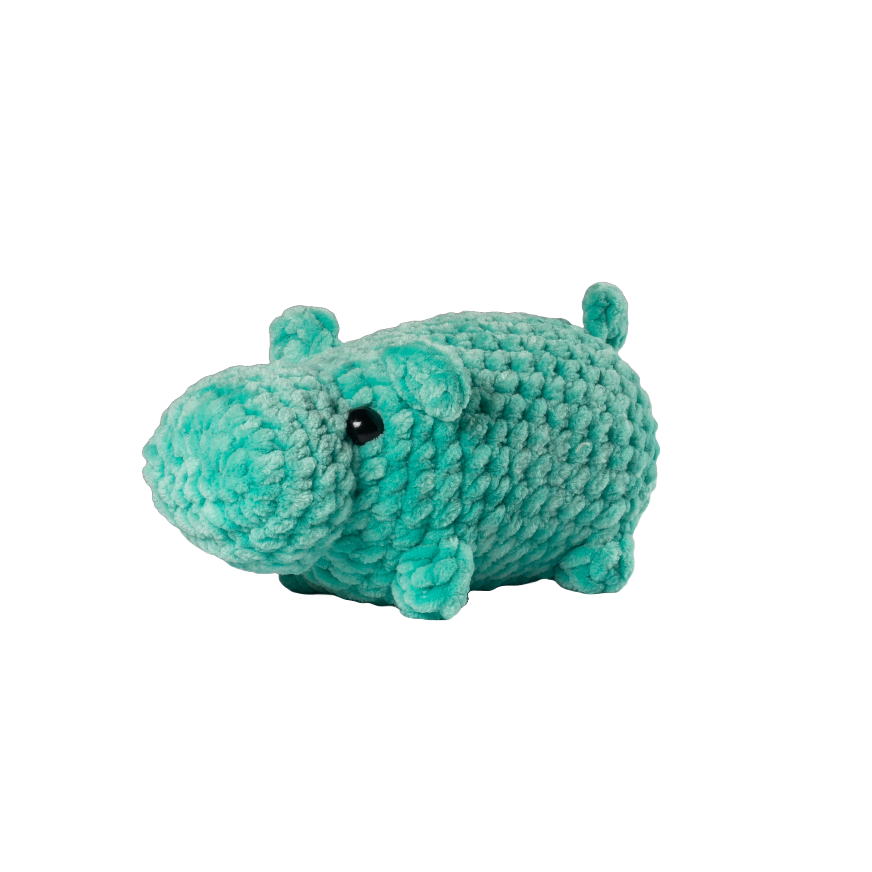 Turquoise Hippo