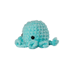 Turquoise Octopus