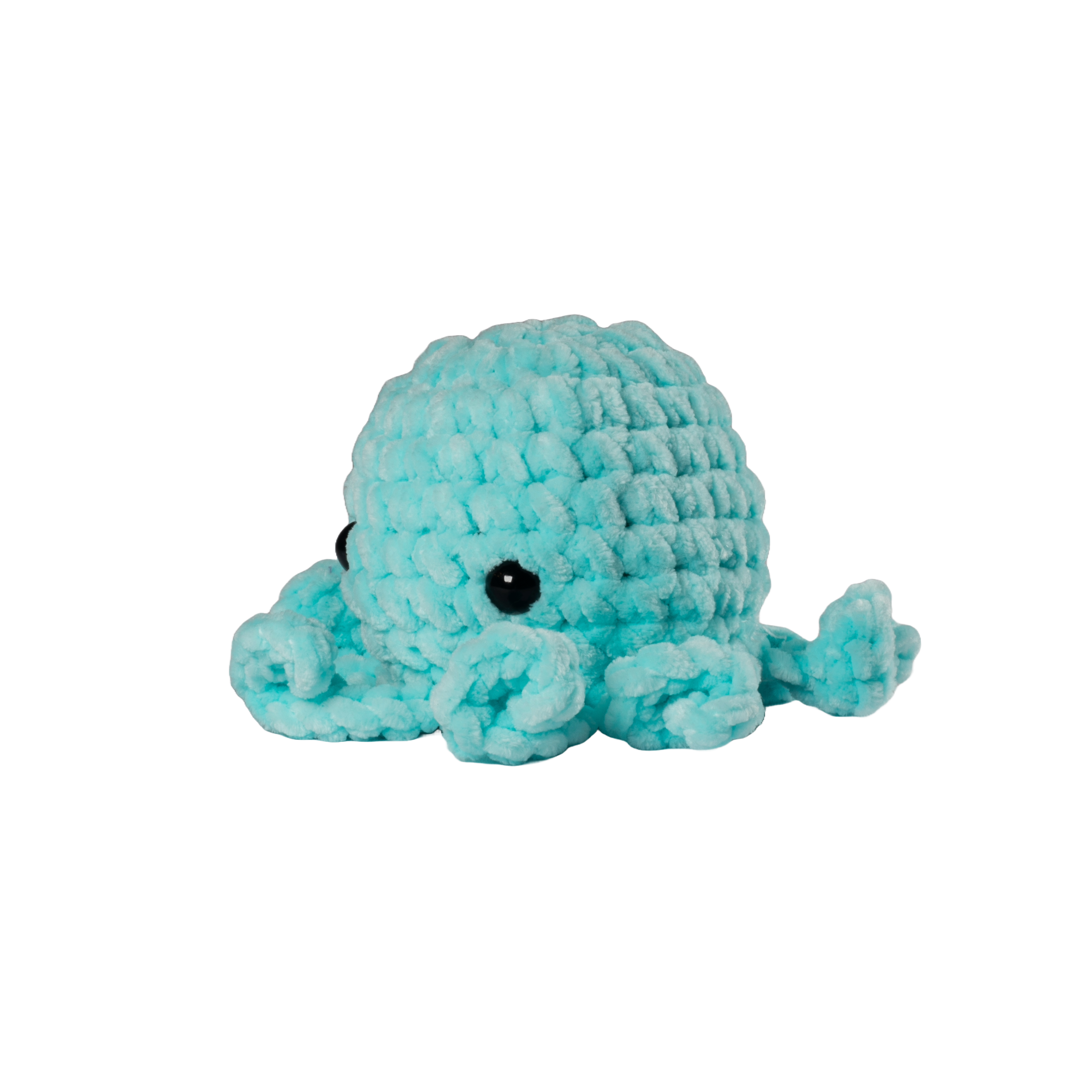 Turquoise Octopus