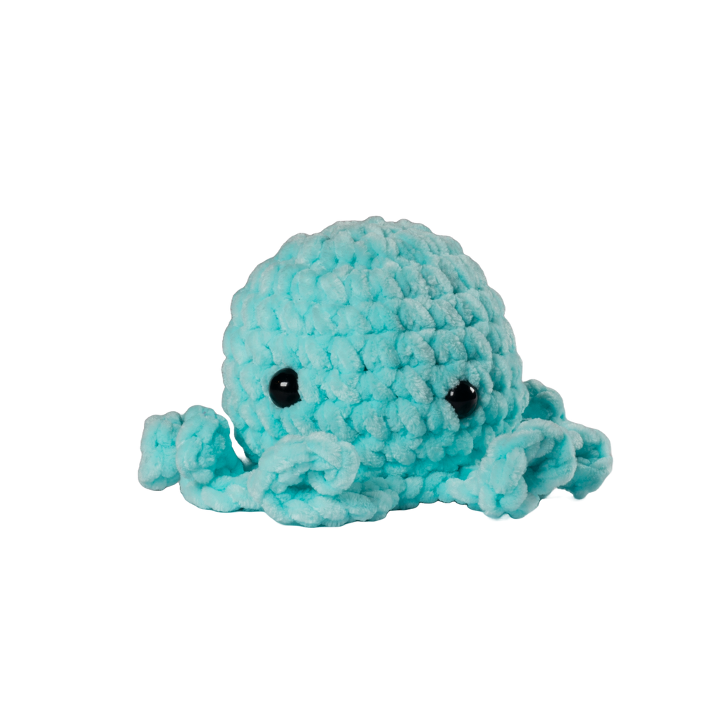 Turquoise Octopus