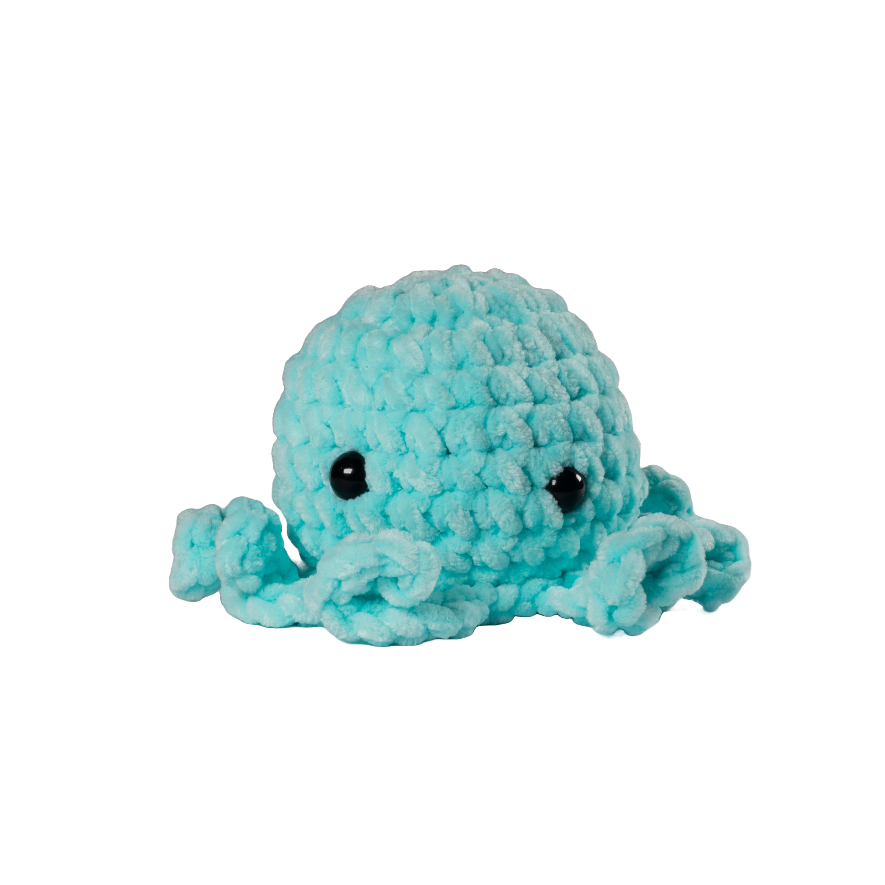 Turquoise Octopus