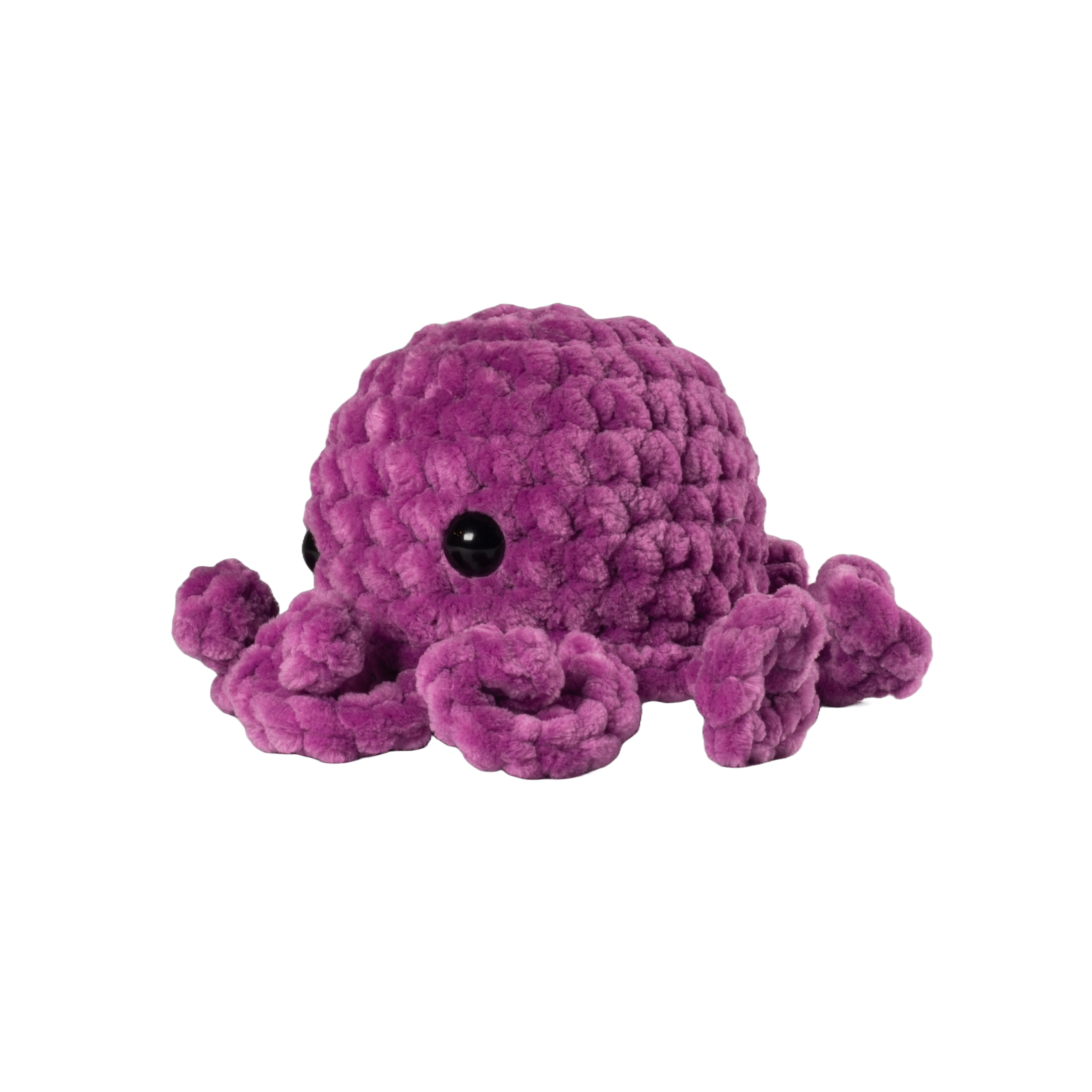Purple Octopus